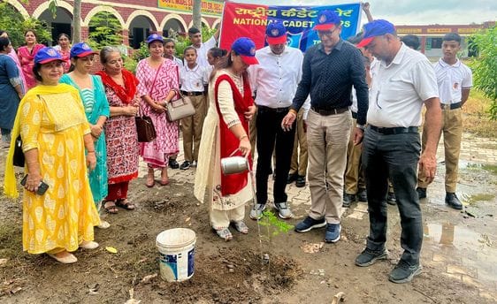Private schools are not cooperating in planting trees