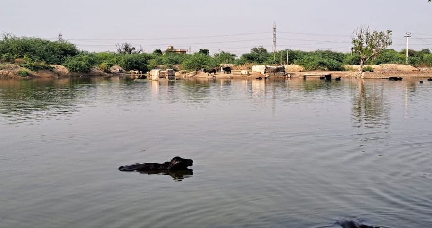 Ponds will be filled with canal water, Panchayat will have to pass a proposal for the pipeline