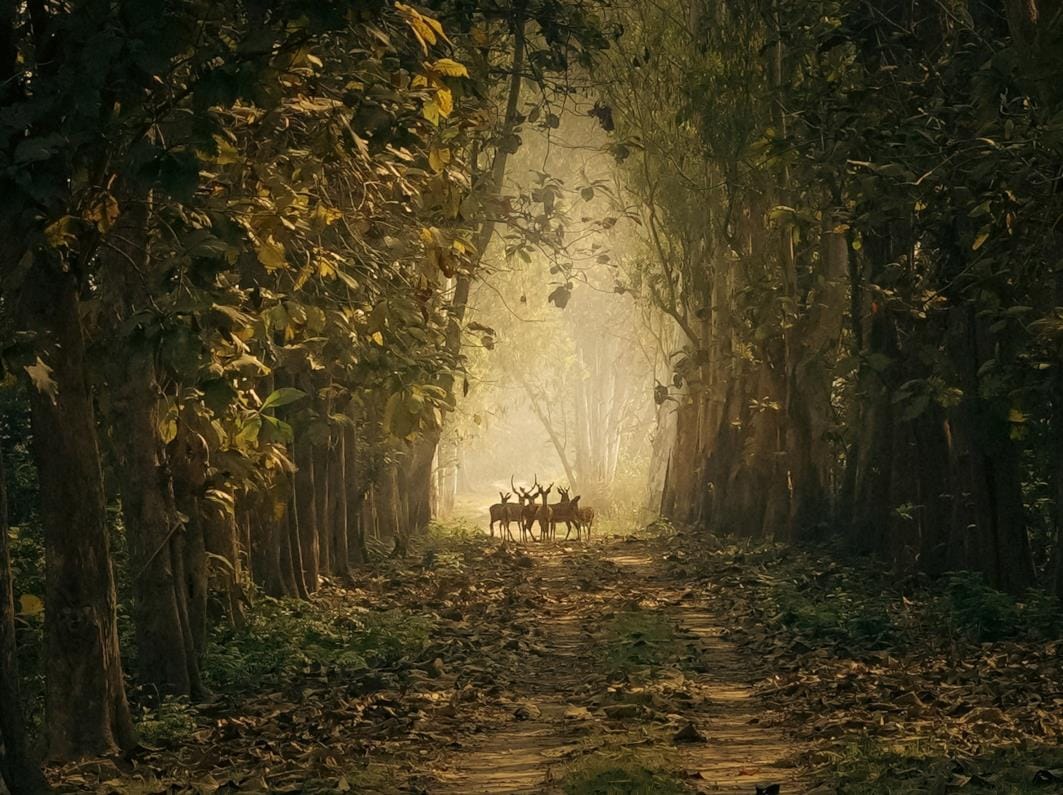 Global model of rural tourism in its Karikot