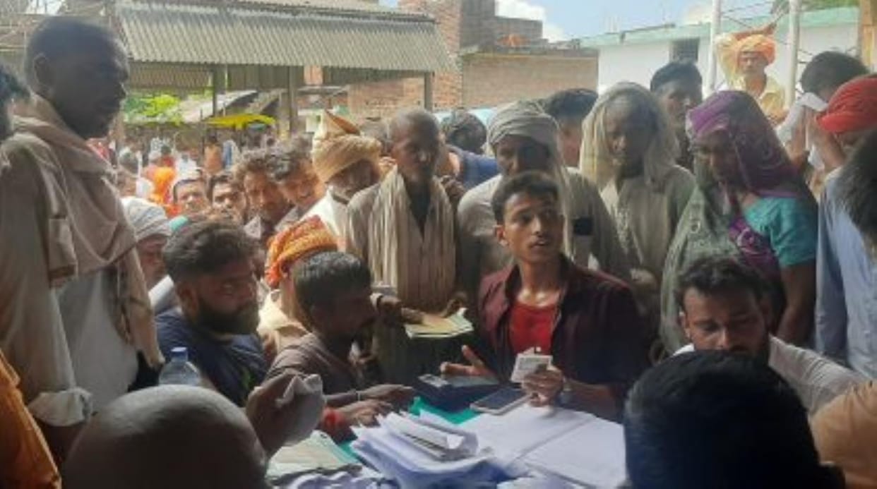 Siddharthnagar News : Supply of bad seeds, loss on the fate of farmers