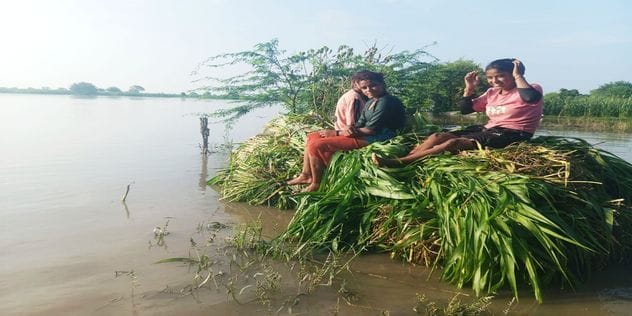 Water level in Yamuna increased by two feet, crops got submerged