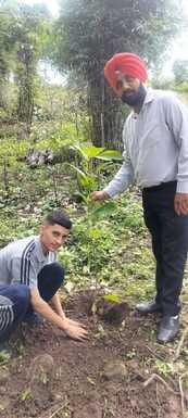tree plantation in svn school nahan