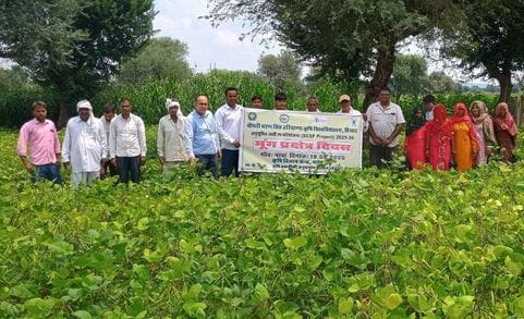 35 farmers were taken on a tour of the moong field