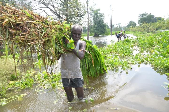 Ganga is overflowing, hundreds of acres of crops are submerged in Domanpur