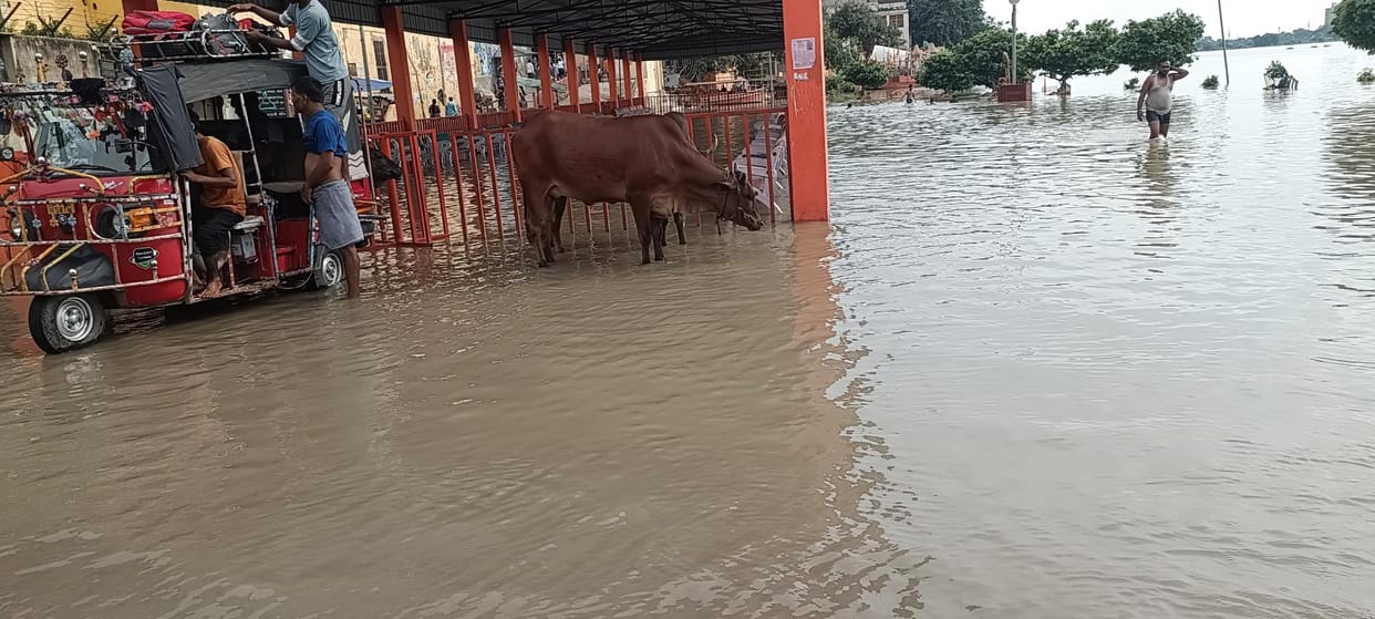 There was a flood in Mathura in 2023, dozens of houses were destroyed