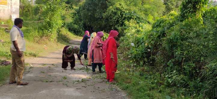 Cutting of bushes started along Jhalan-Ghadoh link road