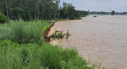 Hundreds of acres of crops and orchards were washed away in the Bhagirathi river