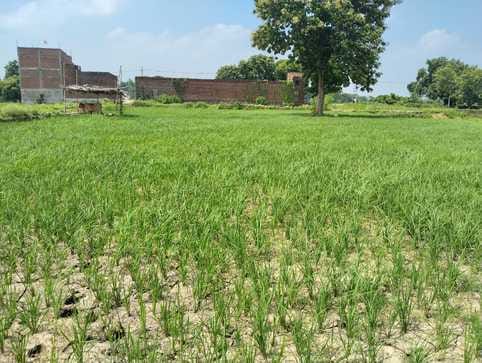 Drizzle at night, bright sunshine during the day, temperature increased by one degree in 24 hours