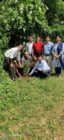 Bharathayan school students planted saplings