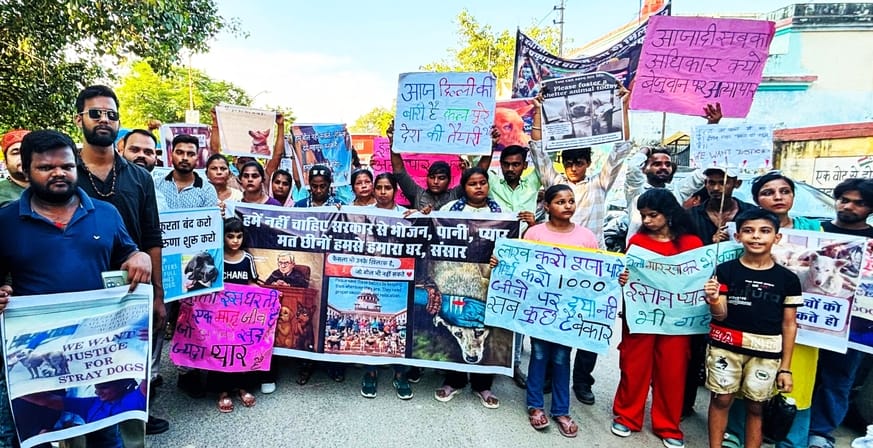 A foot march was taken out to not keep dogs in shelter homes