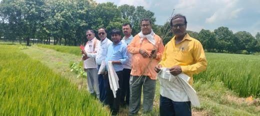 Farm of former secretary of Sadhan cooperative society confiscated