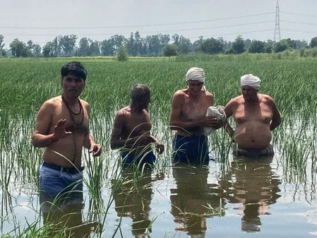 500 acres of crops were submerged in four villages, farmers protested half naked due to lack of drainage