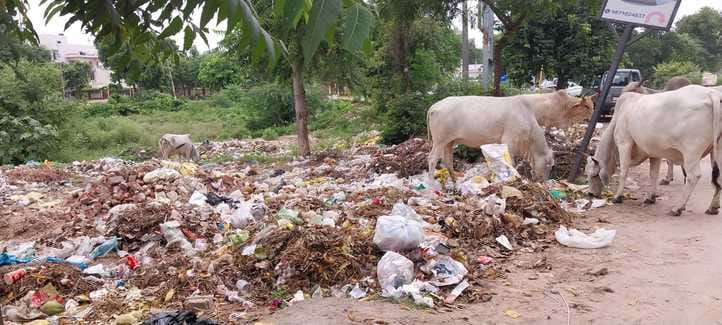 Garbage is everywhere in the city, there are only 300 sweepers for a population of 3 lakh