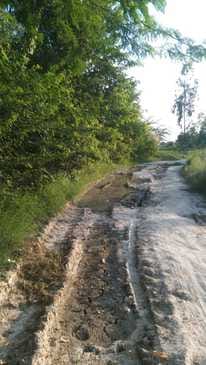 The kutcha road of Purva Maku, built 75 years ago, is in bad condition