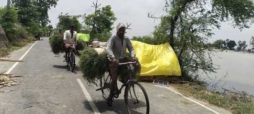 Walls of houses collapsed, animals were in distress as water filled in the straw