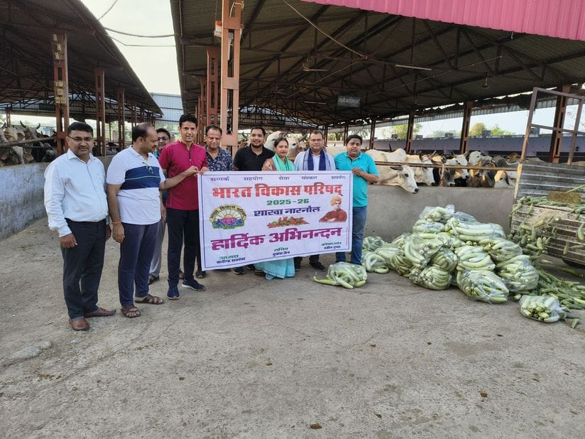 Bhavip organized a Savamani in Gopal Gaushala