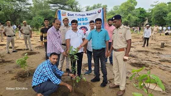 Plantation took place in PG College