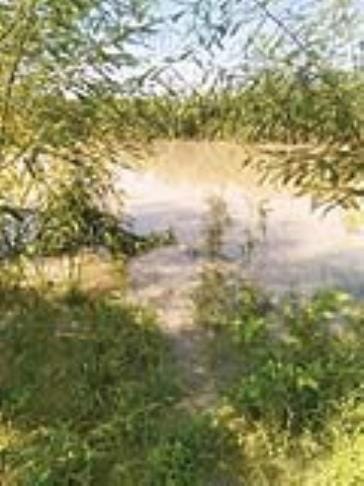 Yamuna water level reached close to population in Tappal