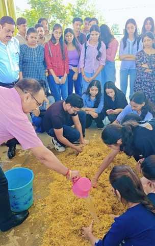 Students learned the technique of mushroom production