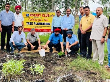 Rotary Club planted trees