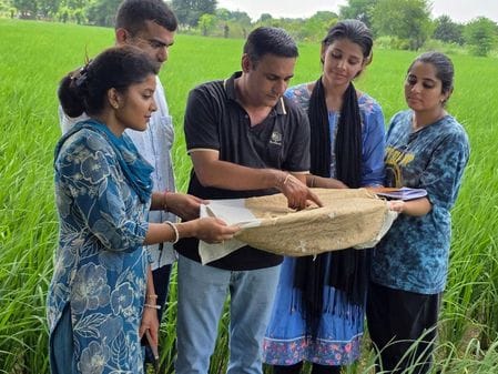 E-girdawari will have to be completed by September 5, farmers will benefit