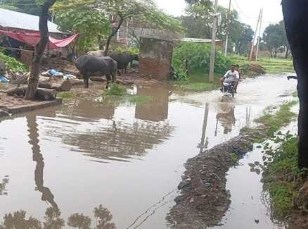 Waterlogging occurred on the roads of Umri village