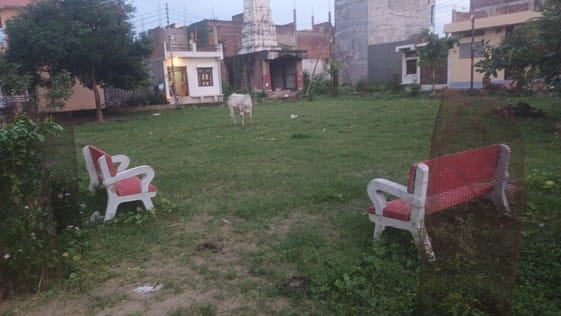 The colony's parks are also incomplete, and a stable has been built