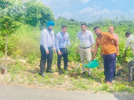 Plantation drive started at Jammu University's Kathua Campus