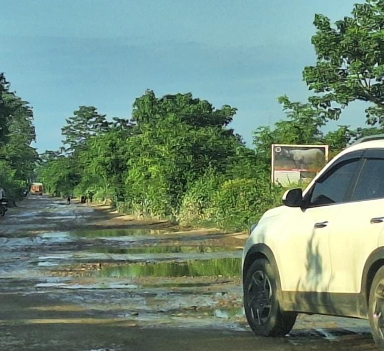 There is a problem in the construction of a road connecting two countries