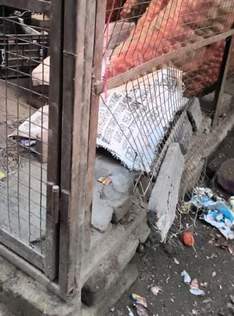 Jewellery and cash worth lakhs stolen from house