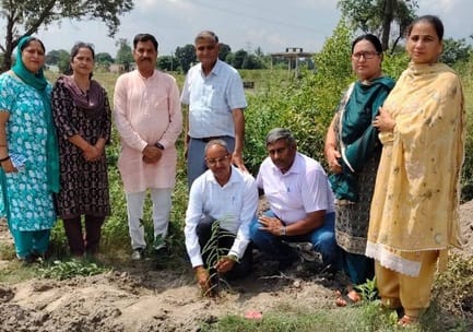 District Council members planted trees in Takarla