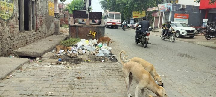 Cleaning system in the city is at a standstill, filth prevails, responsible people are silent