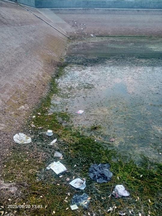 The water tank of the reservoir clogged with algae and dirt, villagers of Bhiwani Rohilla said - even animals wouldn't drink such water.