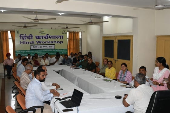 Highlighted the report of the work being done in Hindi