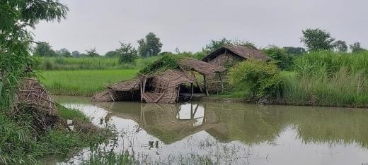 Erosion increased due to falling water level, villagers' problems increased
