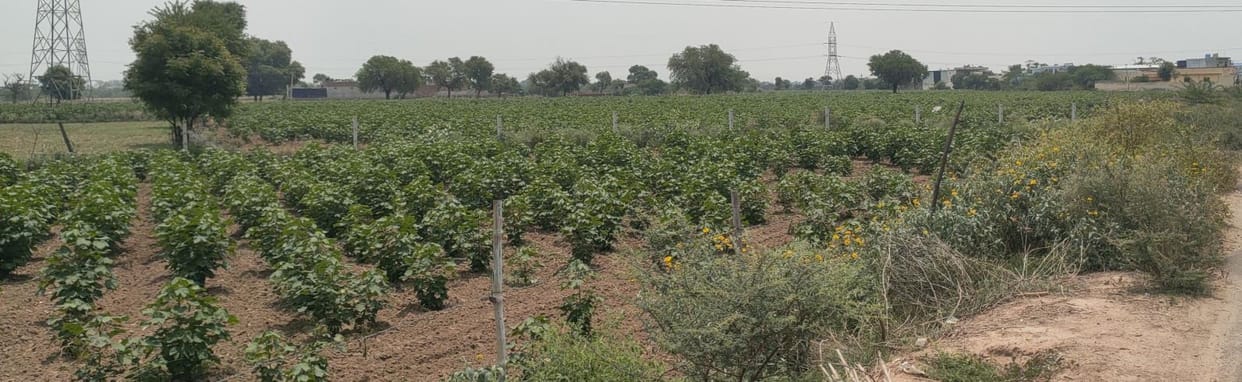 It is necessary to register Kharif crops on Meri Fasal-Mera Byora portal: Munish