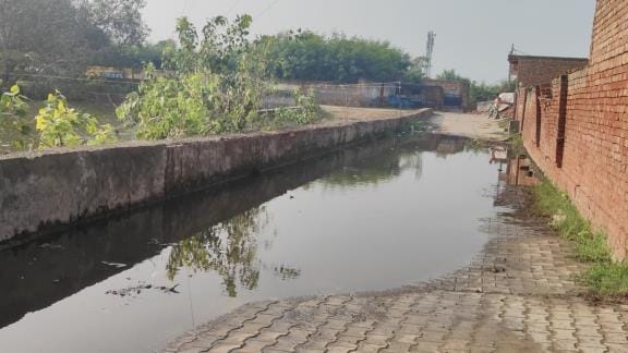 Danger of dengue due to contaminated water in Bawanikheda, sanitation system broken down