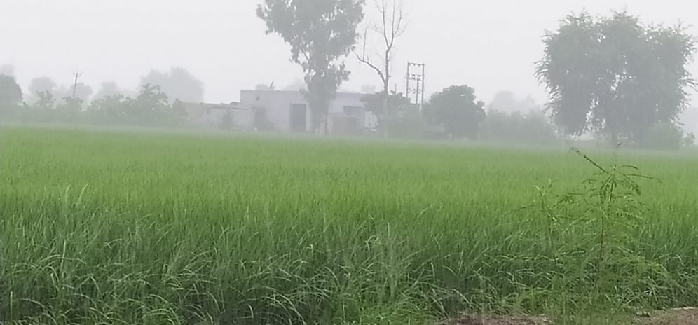There was drizzle in the city, 5 mm rain was recorded in Ding