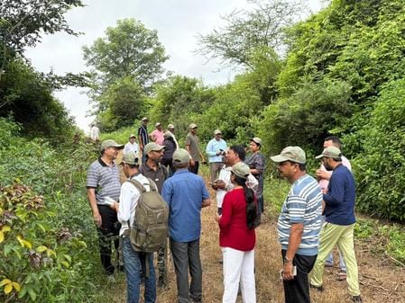 Take a nature walk and see nature up close