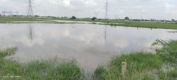 Leaders do not see the water filled in fields for six years