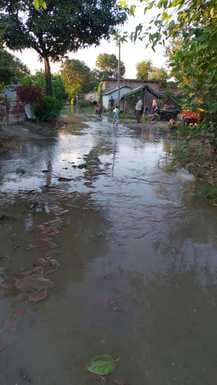 Due to the decrease in the water level of Sharda, waterlogging in the populated area has ended, but there is a problem of swamp in the houses