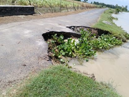 As soon as the flood subsided, the destruction of crops became visible