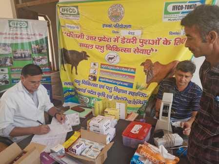280 animals were examined in the veterinary camp
