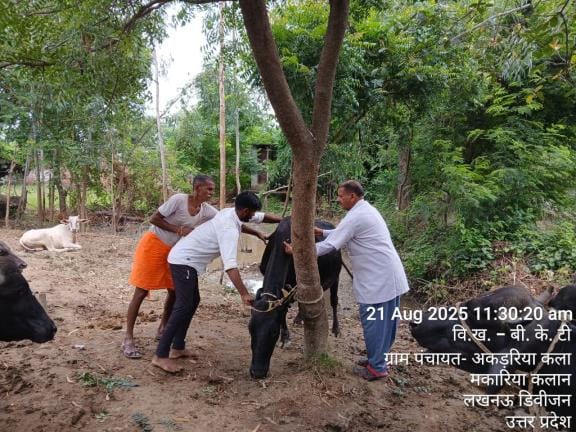 Camps set up for treatment of animals in four flood affected villages