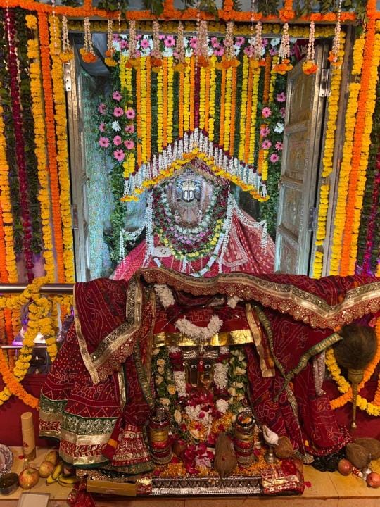 Rani Sati Dadi temple echoed with cheers throughout the night