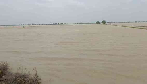 Heavy rain in Meham increased the problem of waterlogging