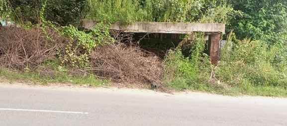 The queue shelters of Bachhod village bus stand are dilapidated, passengers are facing problems