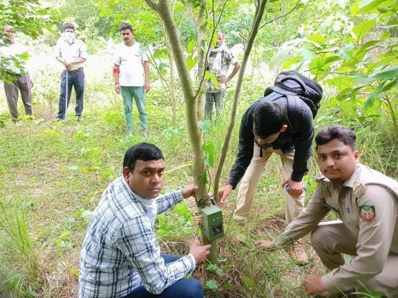 The forest department installed six cameras to trace the leopard