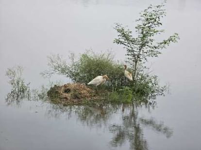 Water level in fields decreased, farmers heaved a sigh of relief