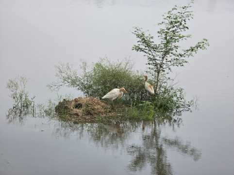 Water level in fields decreased, farmers heaved a sigh of relief